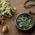 Irish lichen specimen locket