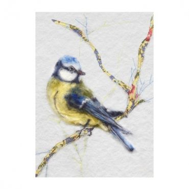 Bluetit Perched upon... Bluetit Perched upon...