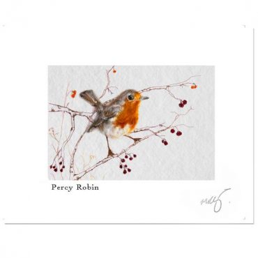My Forever Robin... My Forever Robin...