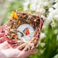 Robin Paperweight