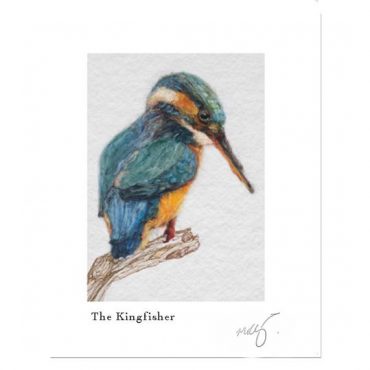 Kingfisher Art Print Kingfisher Art Print
