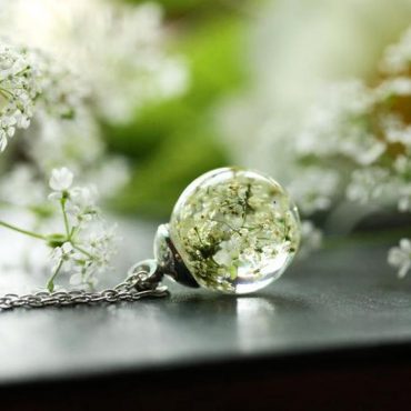 Queen Anne’s Lace... Queen Anne’s Lace...