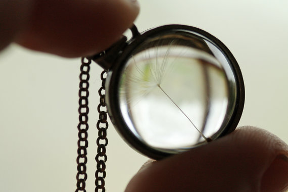 Dandelion Seed Solid... 