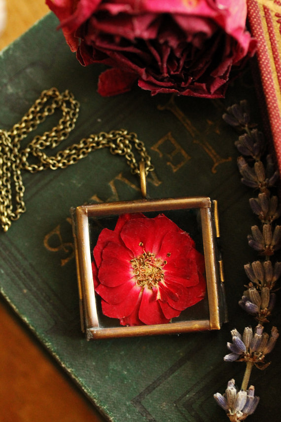 Real Red Rose... Real Red Rose...