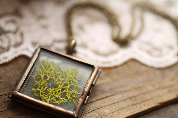 Real Moss Locket Real Moss Locket