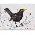 Blackbird Card