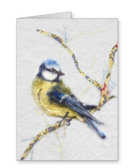 Bluetit Greeting Card