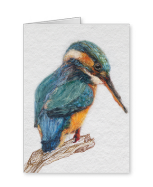 Kingfisher greeting card