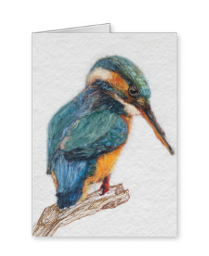 Kingfisher Card