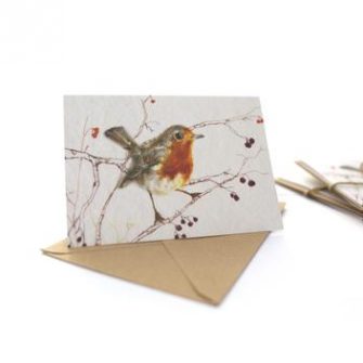 Robin Card