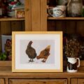 Hen Art Print by Molly Ellis