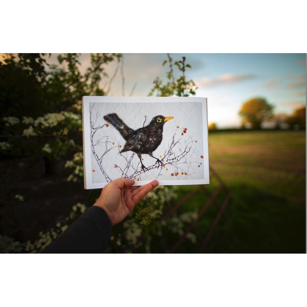 Blackbird Art Print