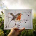 Robin Art Print by the Wild Felter