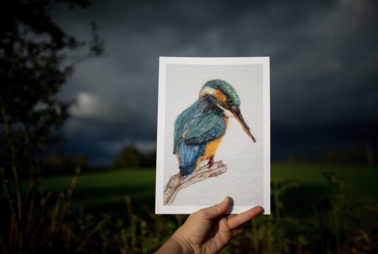 Kingfisher Art Print