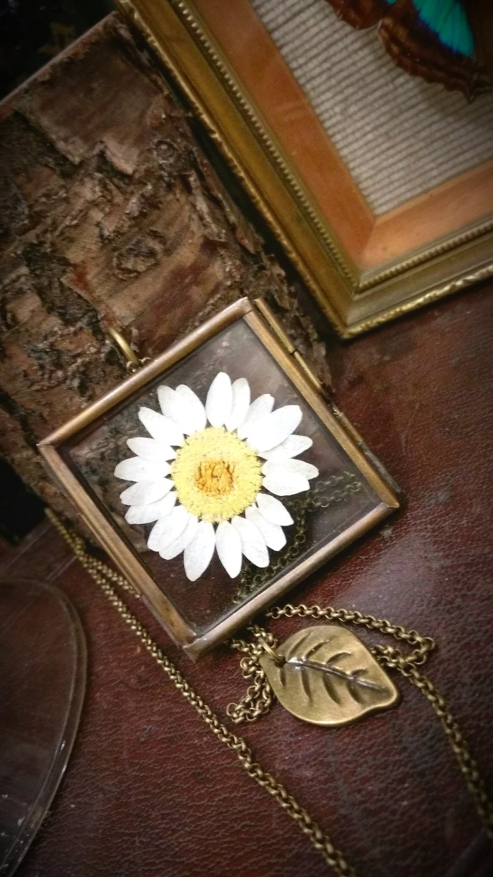 Large Daisy Locket... Large Daisy Locket...