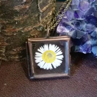 Ruby Robin Bronze Square Window Locket Daisy