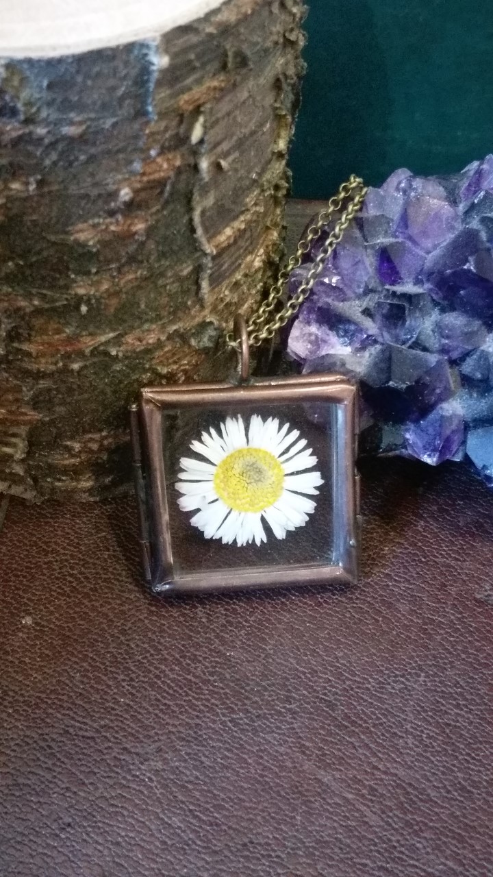 Bronze Daisy Locket Artist Gift Gallery