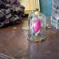 Ruby Robin Rose Bud Bell Jar 2