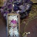 Ruby Robin Shadow Box with Rose Bud and Moss