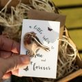 Robin Brooch