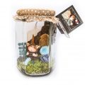 Fairy Wish Jar, Little Dearies