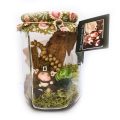 Fairy Wish Jar, Little Dearies