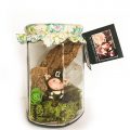 Fairy Wish Jar, Little Dearies