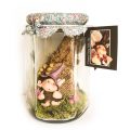 Fairy Wish Jar, Little Dearies