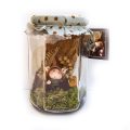 Fairy Wish Jar, Little Dearies