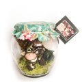 Fairy Wish Jar, Little Dearies