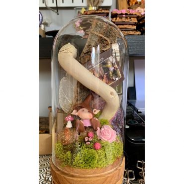 Magical Fairy Dome... Magical Fairy Dome...