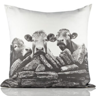 Kelly Hood Cushion Cover