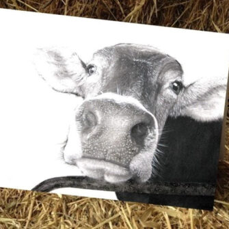 Kelly Hood Cow Art