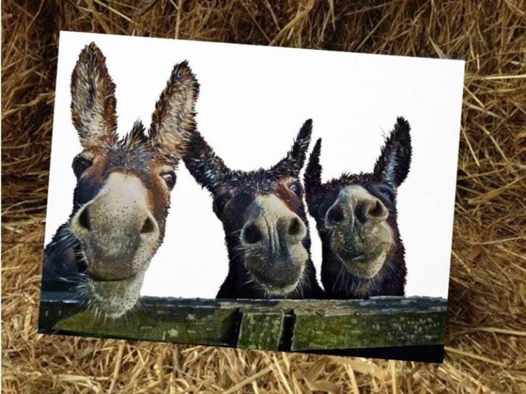 The Three Amigos... The Three Amigos...