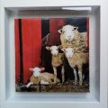 Sheep Painting by Kelly Hood