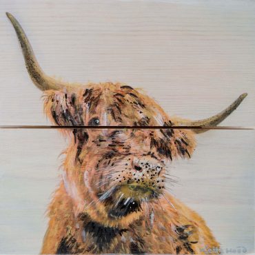 Hamish – Painting... 