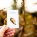 Bluetit wooden Brooch