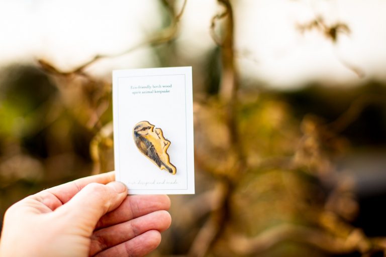 Bluetit Wooden Brooch Bluetit Wooden Brooch