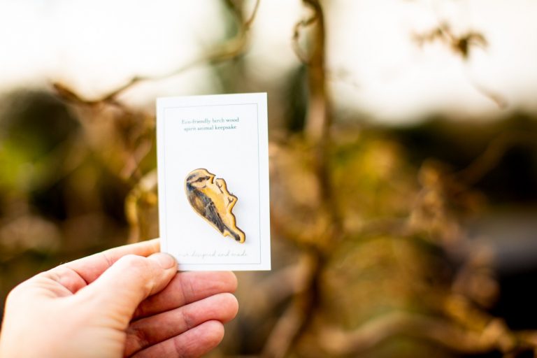 Bluetit Wooden Brooch