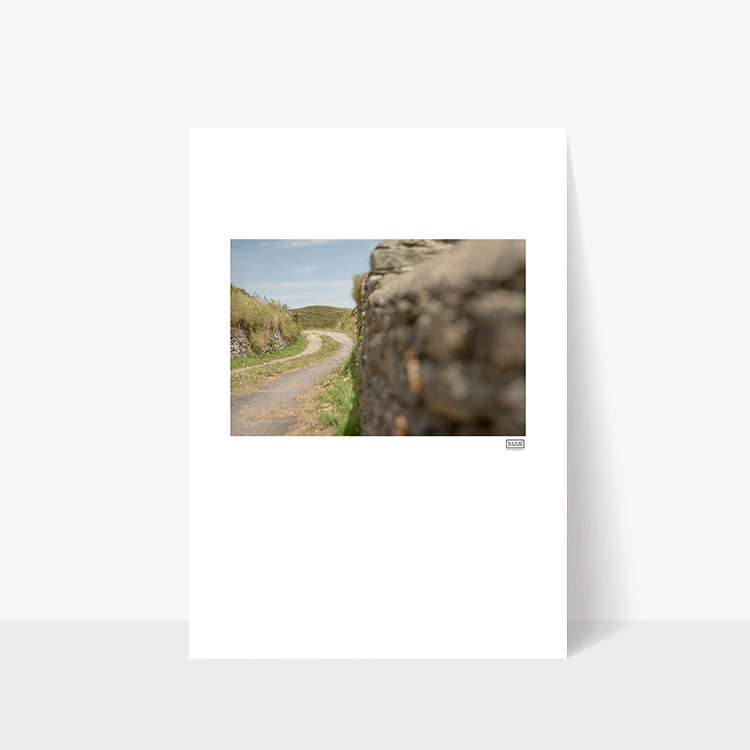 Irish Country Road Photo