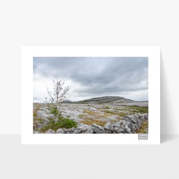 Mullaghmore Print