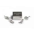 Silver Miniature Dinosaur Zoo