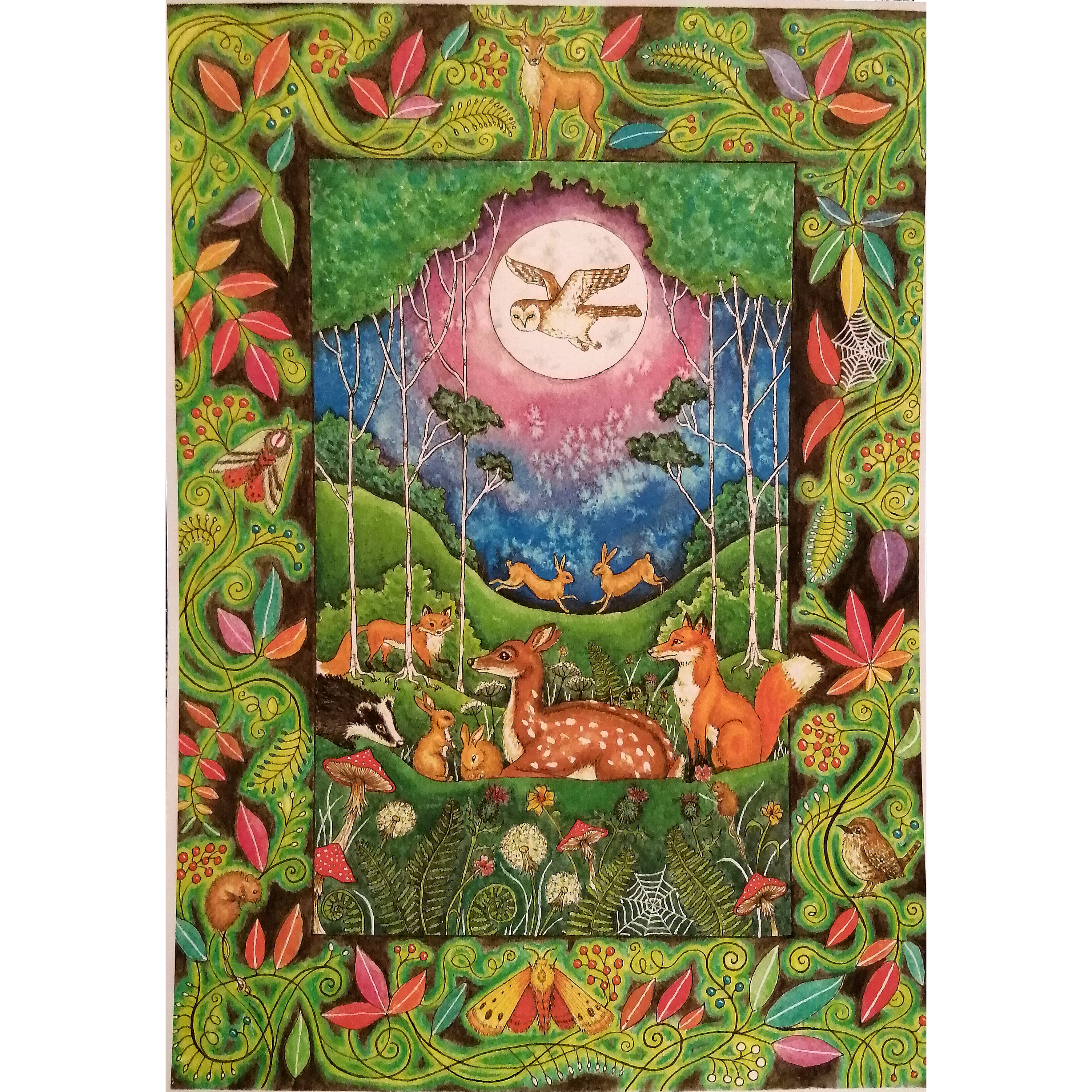 Forest Animals Print by Jenni Kilgallon
