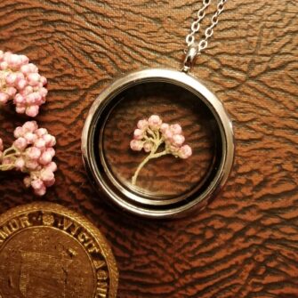 Ozothamnus Locket