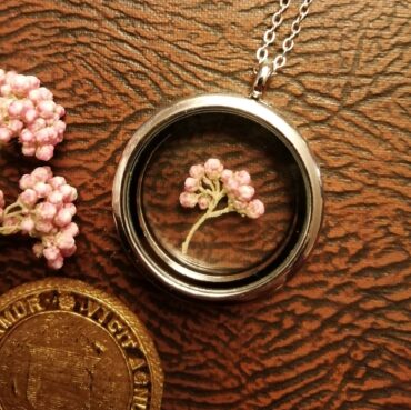 Ozothamnus Locket –... 