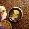 Limonium Locket