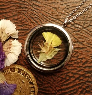 Limonium Locket –... 