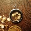 Gypsophilia Locket