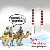 Dublin Sheperds Christmas Cards