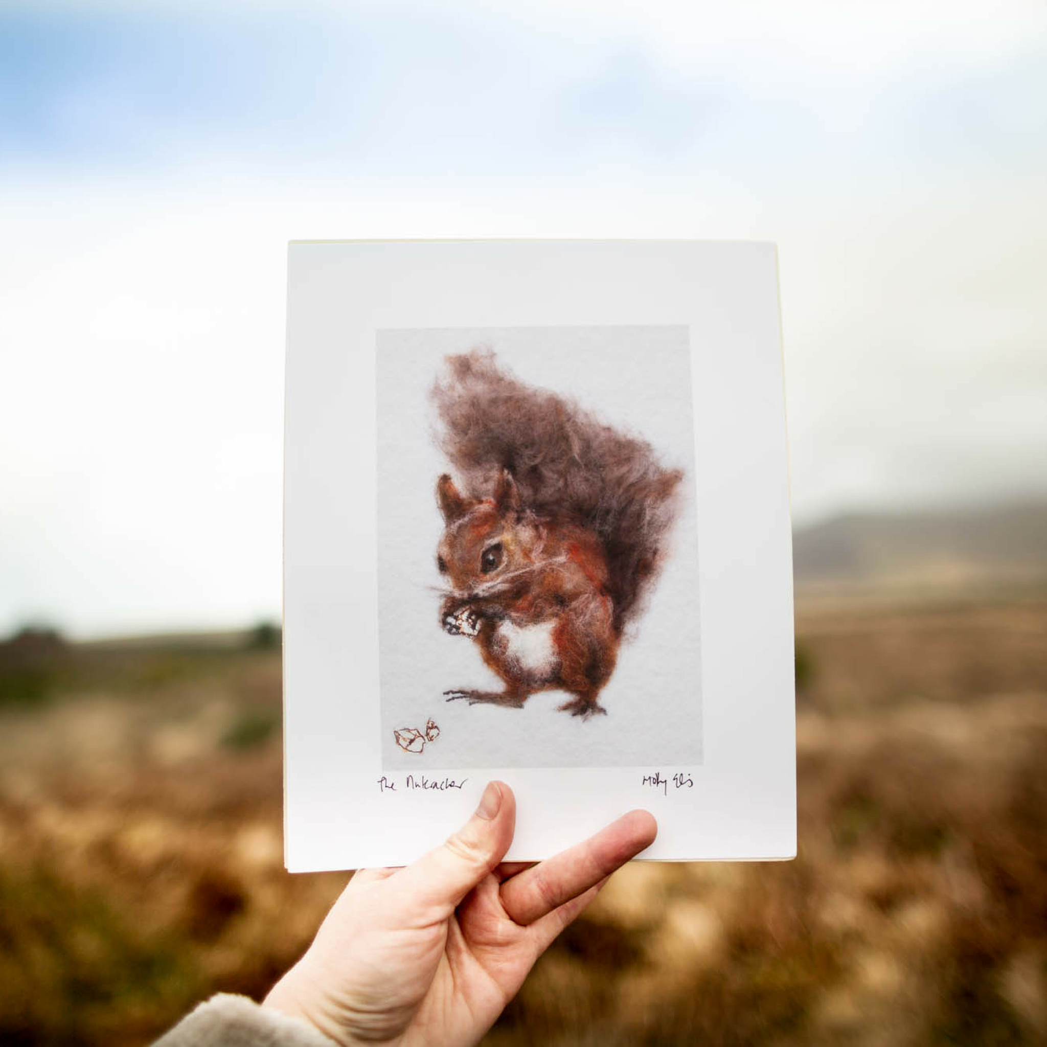 Red Squirrel Art Print by Molly Ellis